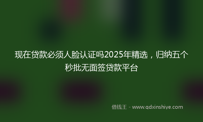现在贷款必须人脸认证吗2025年精选，归纳五个秒批无面签贷款平台