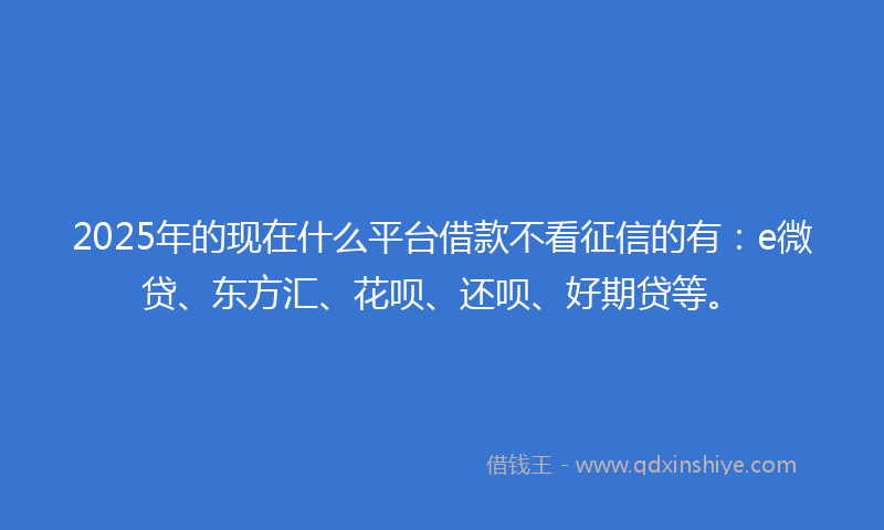 2025年的现在什么平台借款不看征信的有：e微贷、东方汇、花呗、还呗、好期贷等。