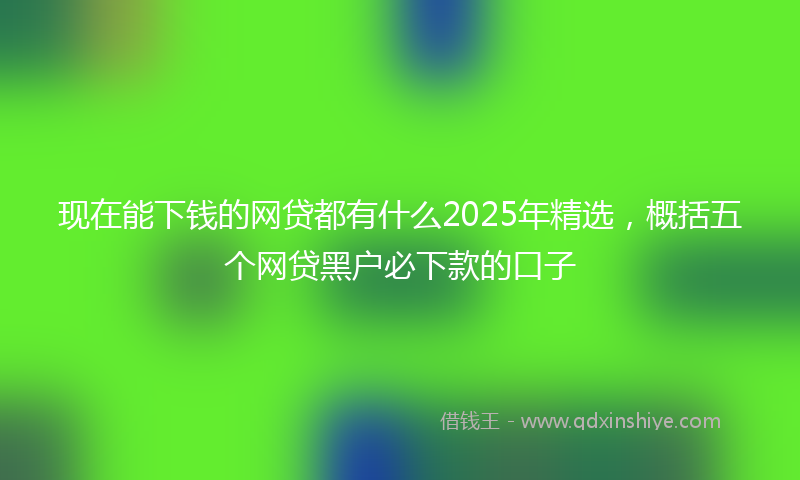 现在能下钱的网贷都有什么2025年精选，概括五个网贷黑户必下款的口子