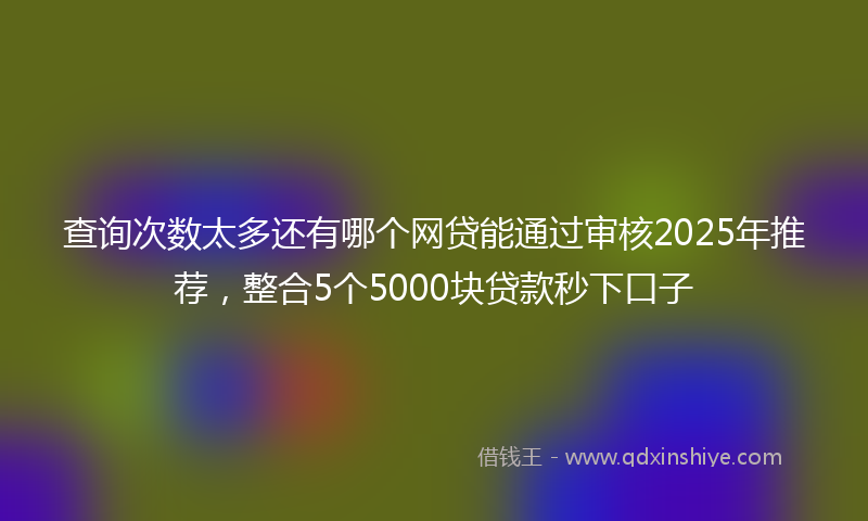 查询次数太多还有哪个网贷能通过审核2025年推荐，整合5个5000块贷款秒下口子
