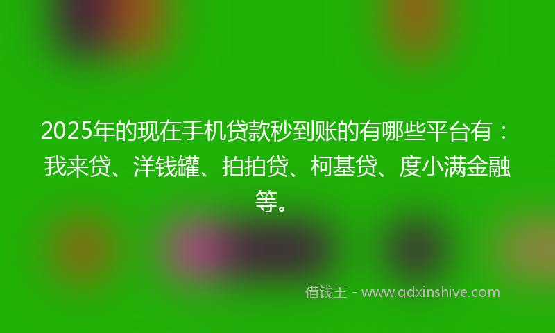 2025年的现在手机贷款秒到账的有哪些平台有：我来贷、洋钱罐、拍拍贷、柯基贷、度小满金融等。
