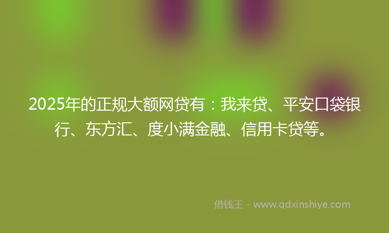 2025年的正规大额网贷有：我来贷、平安口袋银行、东方汇、度小满金融、信用卡贷等。