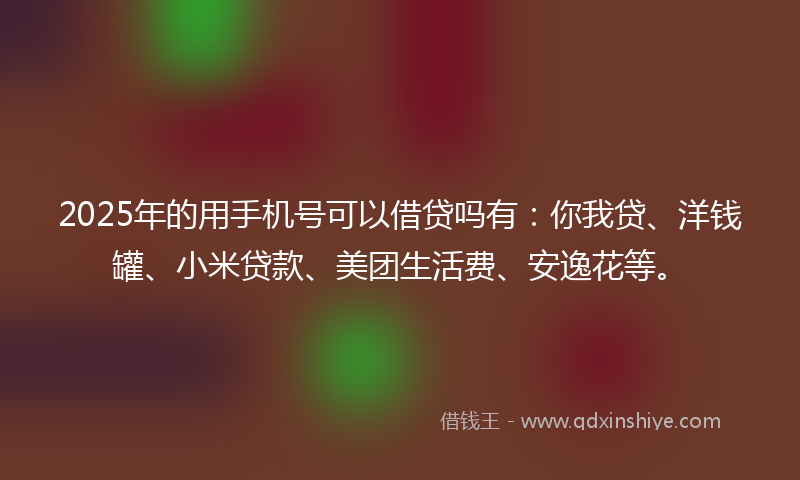2025年的用手机号可以借贷吗有：你我贷、洋钱罐、小米贷款、美团生活费、安逸花等。