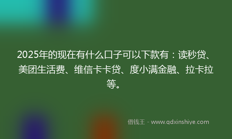 2025年的现在有什么口子可以下款有：读秒贷、美团生活费、维信卡卡贷、度小满金融、拉卡拉等。