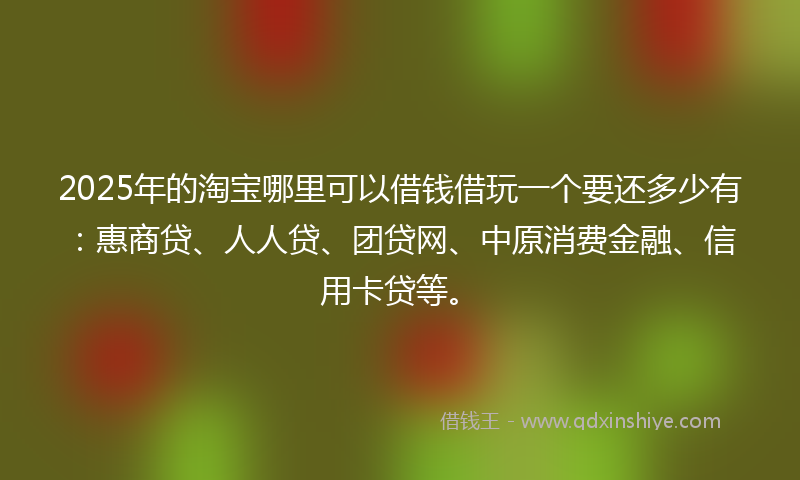2025年的淘宝哪里可以借钱借玩一个要还多少有：惠商贷、人人贷、团贷网、中原消费金融、信用卡贷等。