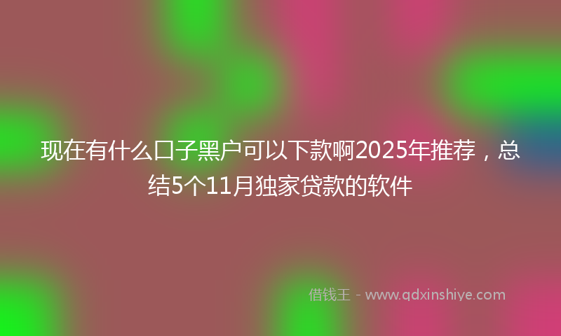 现在有什么口子黑户可以下款啊2025年推荐，总结5个11月独家贷款的软件