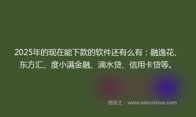 2025年的现在能下款的软件还有么有：融逸花、东方汇、度小满金融、滴水贷、信用卡贷等。
