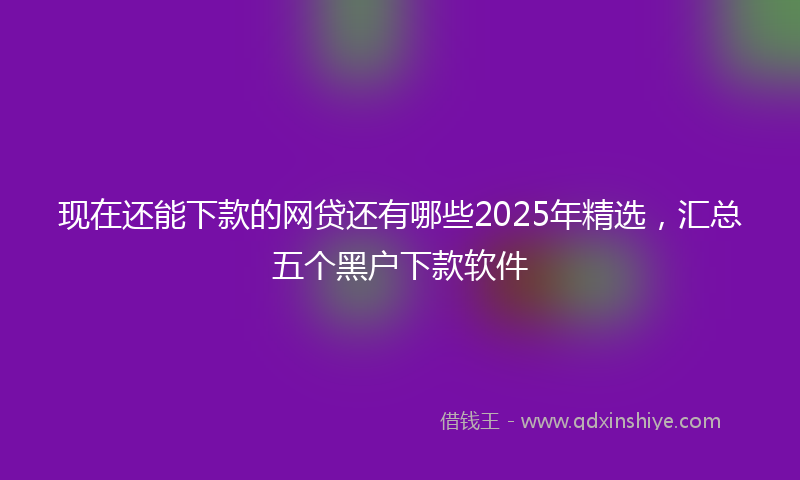 现在还能下款的网贷还有哪些2025年精选，汇总五个黑户下款软件