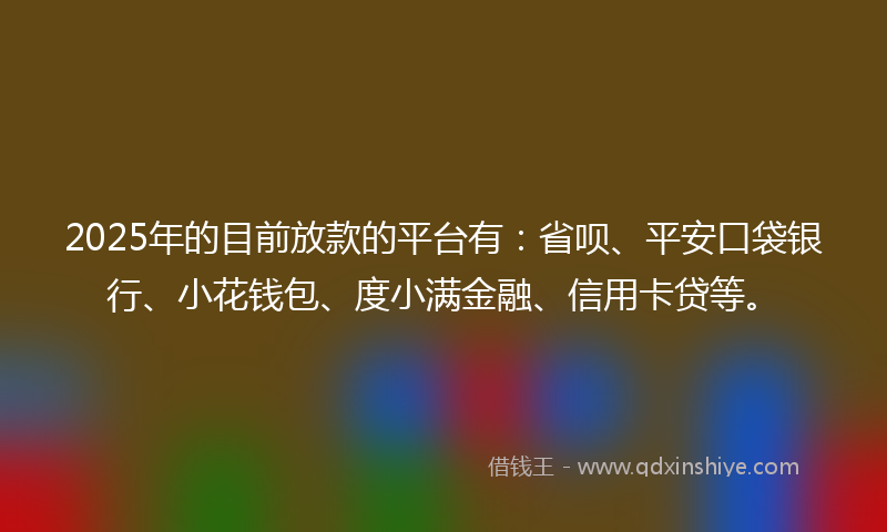 2025年的目前放款的平台有：省呗、平安口袋银行、小花钱包、度小满金融、信用卡贷等。