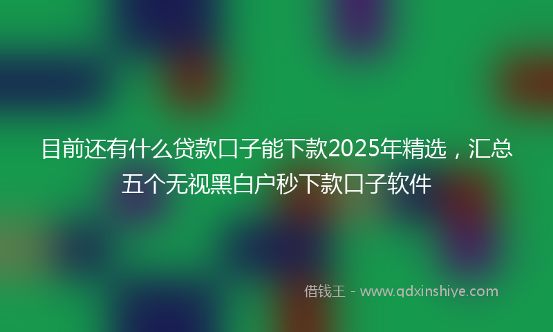 目前还有什么贷款口子能下款2025年精选，汇总五个无视黑白户秒下款口子软件