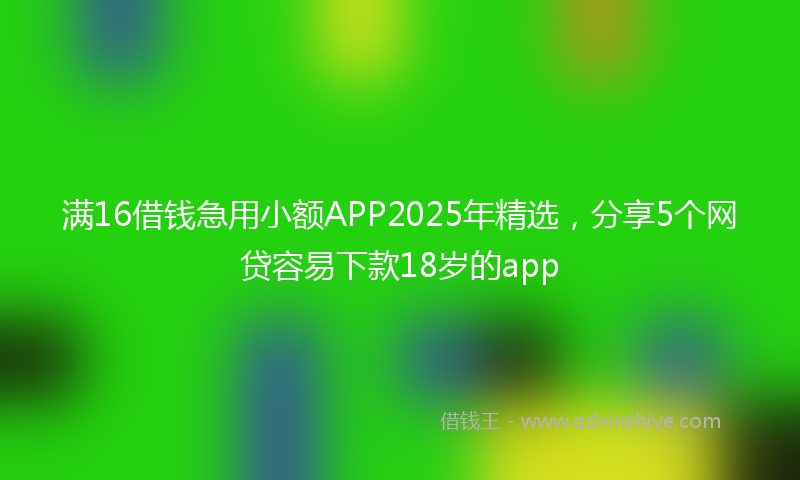 满16借钱急用小额APP2025年精选，分享5个网贷容易下款18岁的app