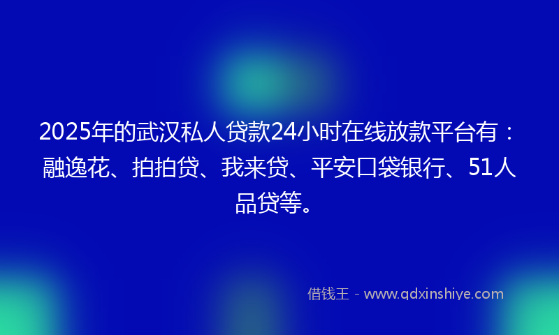 2025年的武汉私人贷款24小时在线放款平台有：融逸花、拍拍贷、我来贷、平安口袋银行、51人品贷等。