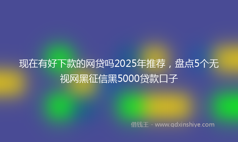 现在有好下款的网贷吗2025年推荐，盘点5个无视网黑征信黑5000贷款口子