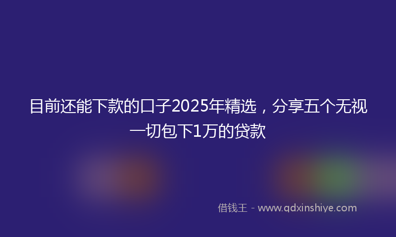 目前还能下款的口子2025年精选，分享五个无视一切包下1万的贷款