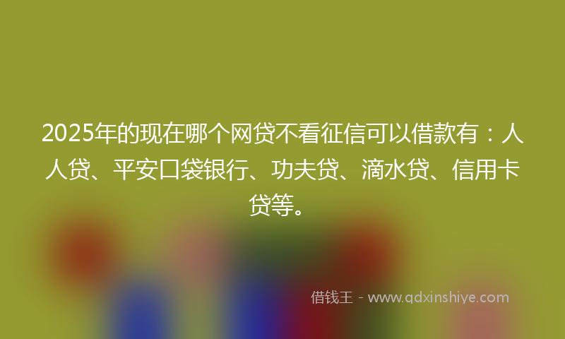 2025年的现在哪个网贷不看征信可以借款有：人人贷、平安口袋银行、功夫贷、滴水贷、信用卡贷等。