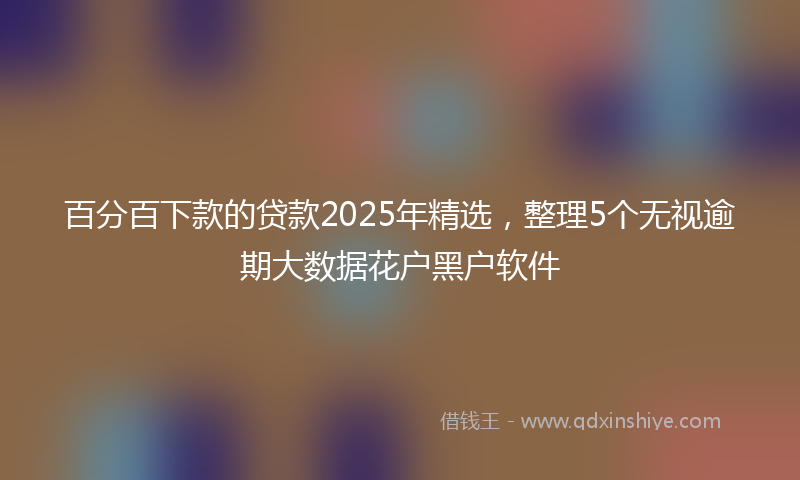 百分百下款的贷款2025年精选，整理5个无视逾期大数据花户黑户软件