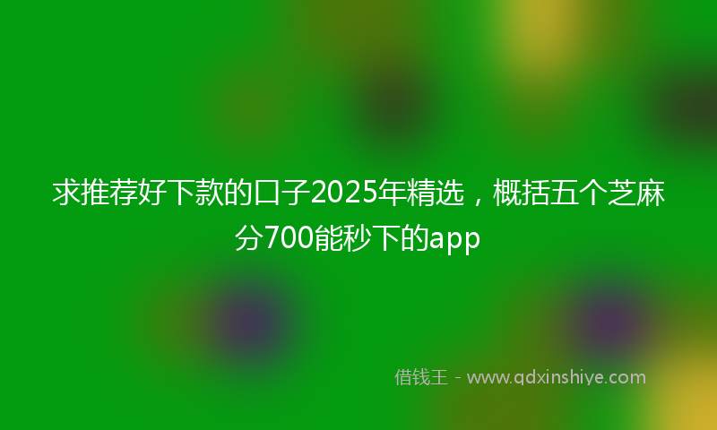 求推荐好下款的口子2025年精选，概括五个芝麻分700能秒下的app