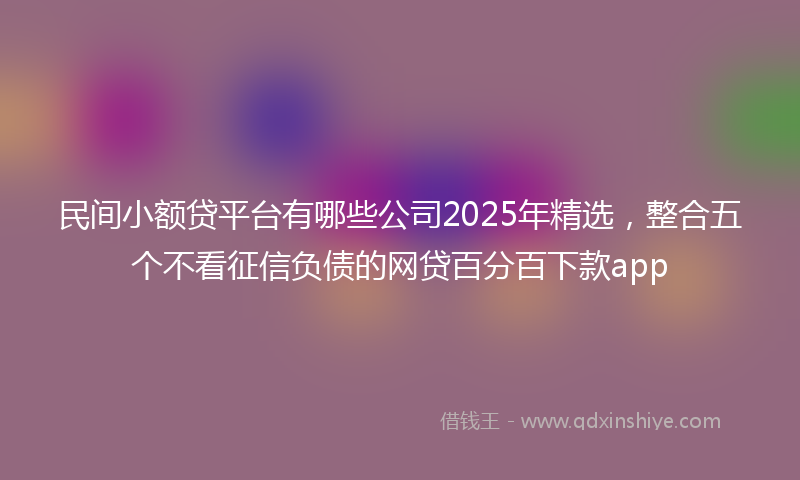 民间小额贷平台有哪些公司2025年精选，整合五个不看征信负债的网贷百分百下款app