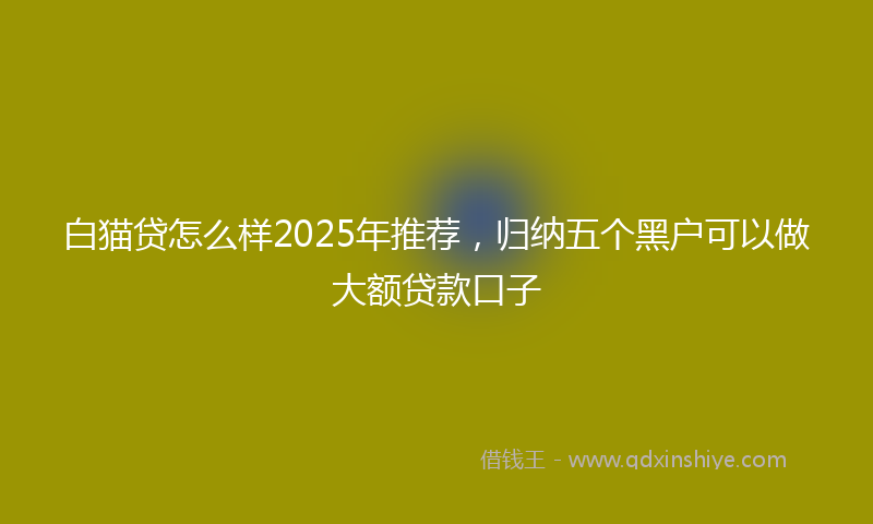 白猫贷怎么样2025年推荐，归纳五个黑户可以做大额贷款口子