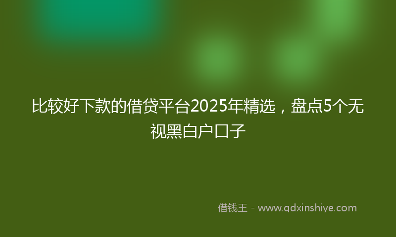 比较好下款的借贷平台2025年精选，盘点5个无视黑白户口子