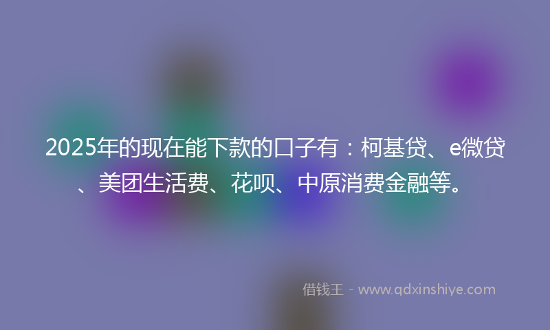 2025年的现在能下款的口子有：柯基贷、e微贷、美团生活费、花呗、中原消费金融等。