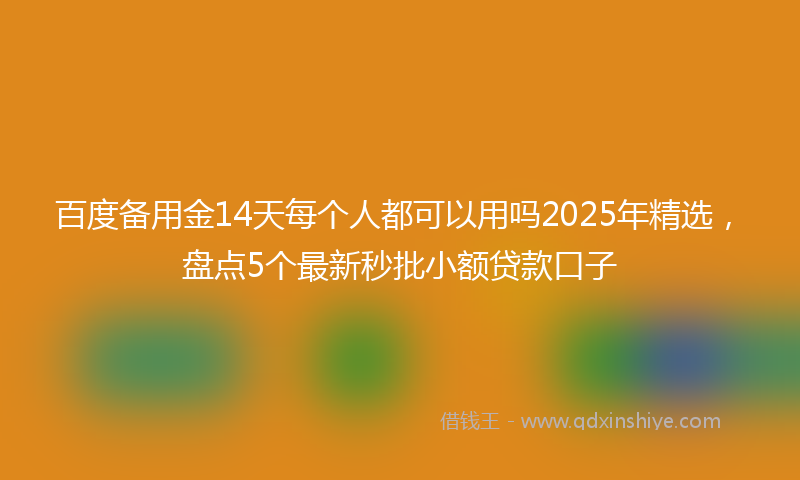 百度备用金14天每个人都可以用吗2025年精选，盘点5个最新秒批小额贷款口子