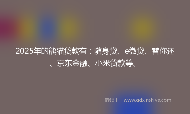 2025年的熊猫贷款有：随身贷、e微贷、替你还、京东金融、小米贷款等。