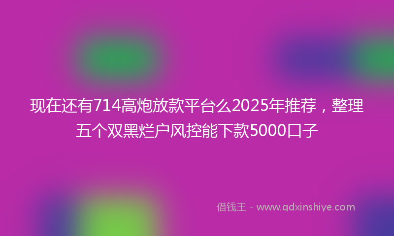 现在还有714高炮放款平台么2025年推荐，整理五个双黑烂户风控能下款5000口子