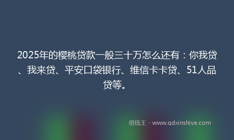 2025年的樱桃贷款一般三十万怎么还有:你我贷、我来贷、平安口袋银行、维信卡卡贷、51人品贷等。