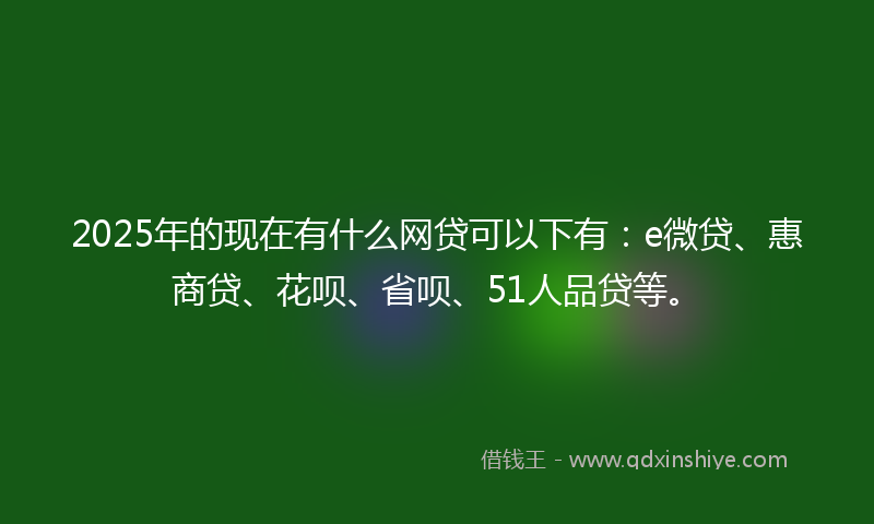 2025年的现在有什么网贷可以下有：e微贷、惠商贷、花呗、省呗、51人品贷等。