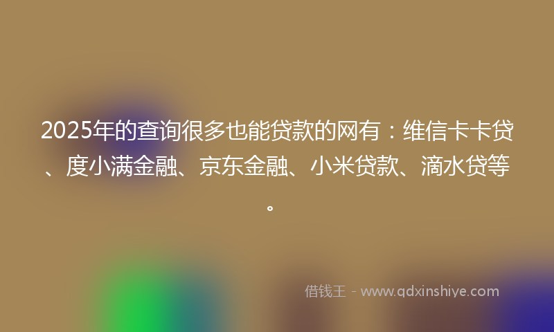 2025年的查询很多也能贷款的网有：维信卡卡贷、度小满金融、京东金融、小米贷款、滴水贷等。