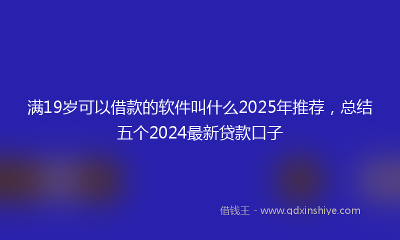 满19岁可以借款的软件叫什么2025年推荐，总结五个2024最新贷款口子