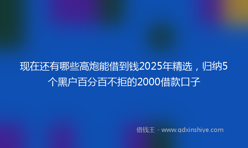 现在还有哪些高炮能借到钱2025年精选，归纳5个黑户百分百不拒的2000借款口子