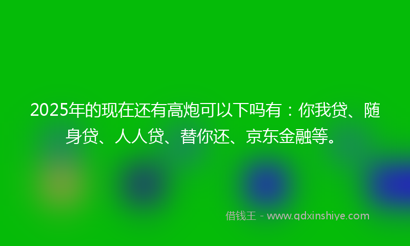 2025年的现在还有高炮可以下吗有：你我贷、随身贷、人人贷、替你还、京东金融等。