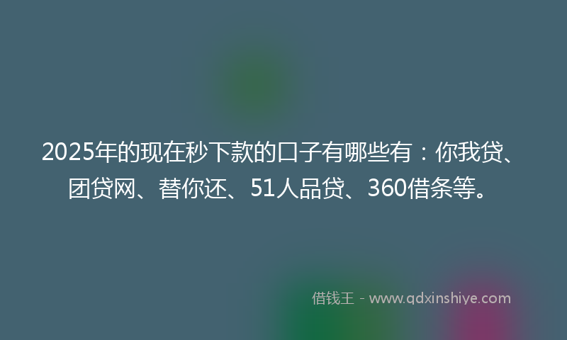 2025年的现在秒下款的口子有哪些有：你我贷、团贷网、替你还、51人品贷、360借条等。