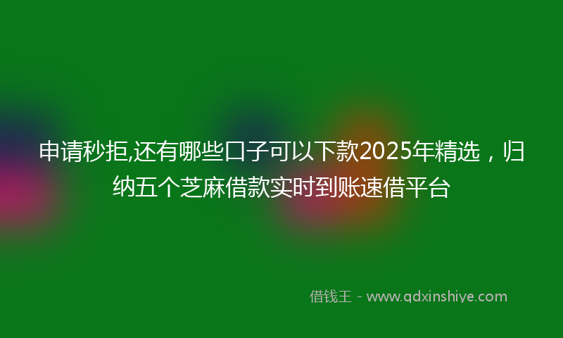 申请秒拒,还有哪些口子可以下款2025年精选,归纳五个芝麻借款实时到账速借平台