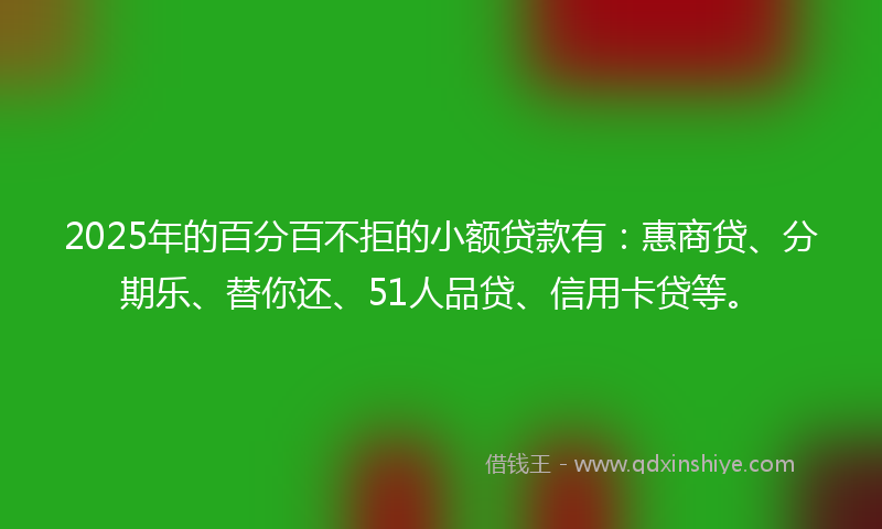 2025年的百分百不拒的小额贷款有：惠商贷、分期乐、替你还、51人品贷、信用卡贷等。