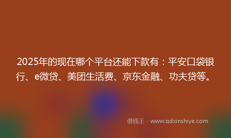 2025年的现在哪个平台还能下款有:平安口袋银行、e微贷、美团生活费、京东金融、功夫贷等。