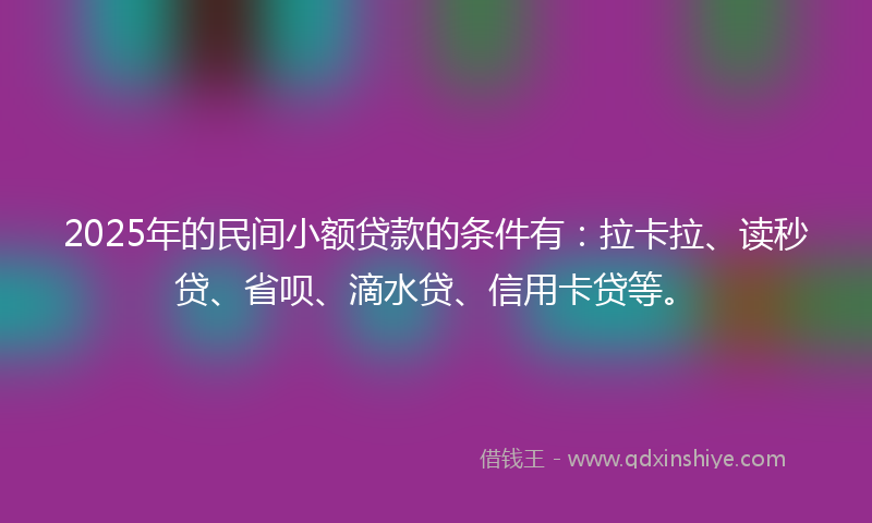 2025年的民间小额贷款的条件有：拉卡拉、读秒贷、省呗、滴水贷、信用卡贷等。