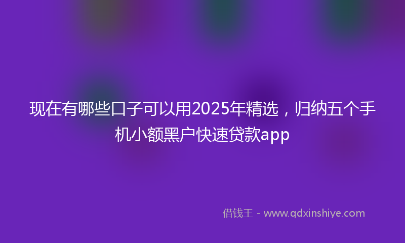 现在有哪些口子可以用2025年精选，归纳五个手机小额黑户快速贷款app
