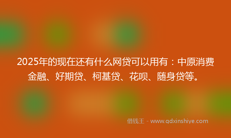 2025年的现在还有什么网贷可以用有：中原消费金融、好期贷、柯基贷、花呗、随身贷等。
