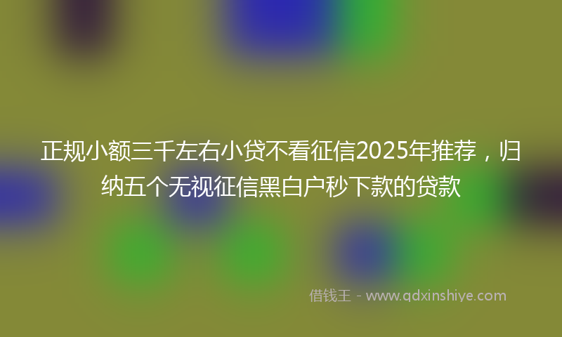正规小额三千左右小贷不看征信2025年推荐，归纳五个无视征信黑白户秒下款的贷款