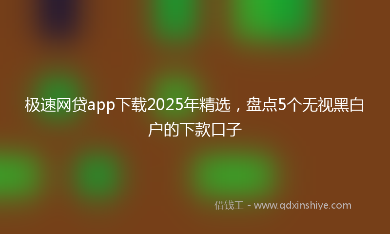 极速网贷app下载2025年精选，盘点5个无视黑白户的下款口子