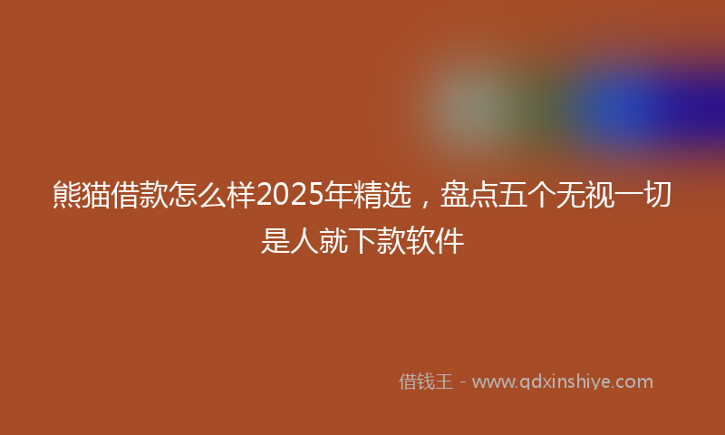 熊猫借款怎么样2025年精选，盘点五个无视一切是人就下款软件