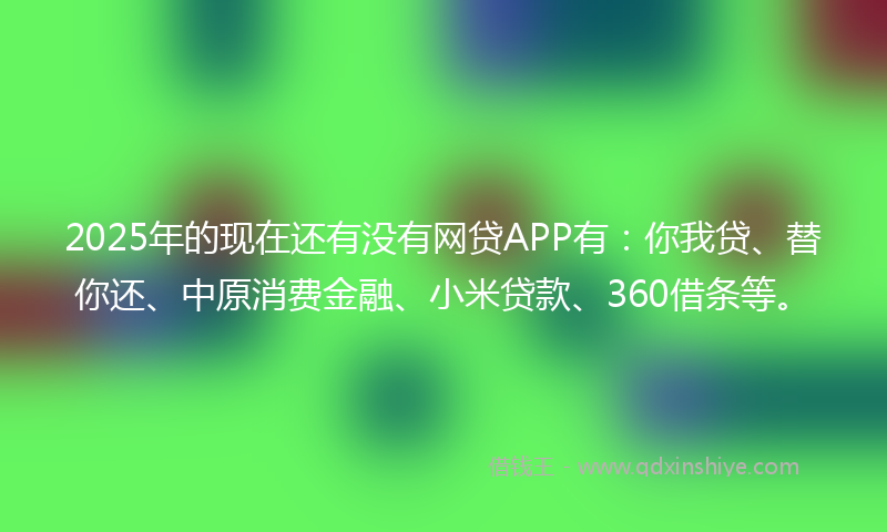 2025年的现在还有没有网贷APP有：你我贷、替你还、中原消费金融、小米贷款、360借条等。