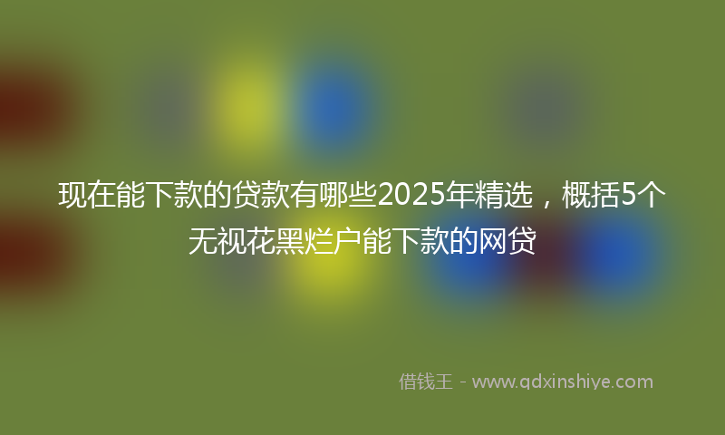 现在能下款的贷款有哪些2025年精选，概括5个无视花黑烂户能下款的网贷