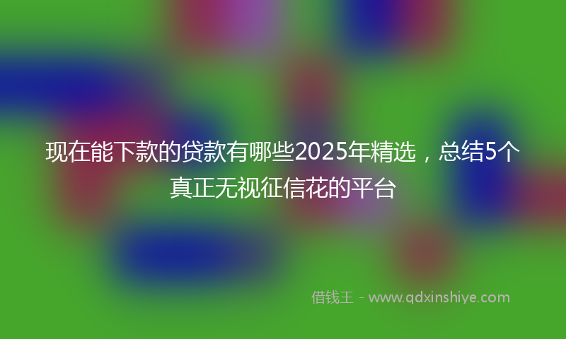 现在能下款的贷款有哪些2025年精选，总结5个真正无视征信花的平台