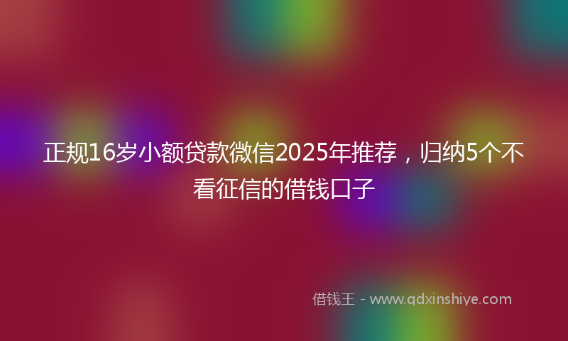 正规16岁小额贷款微信2025年推荐，归纳5个不看征信的借钱口子