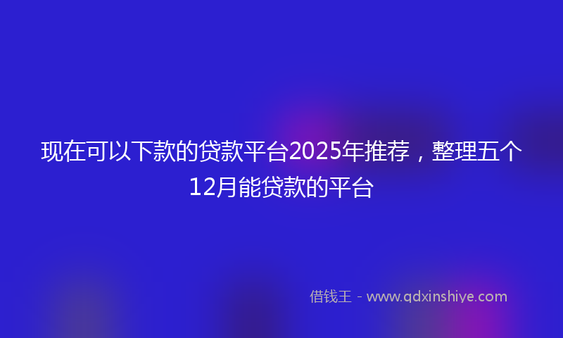 现在可以下款的贷款平台2025年推荐，整理五个12月能贷款的平台