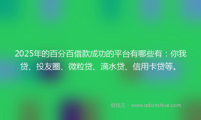 2025年的百分百借款成功的平台有哪些有：你我贷、投友圈、微粒贷、滴水贷、信用卡贷等。